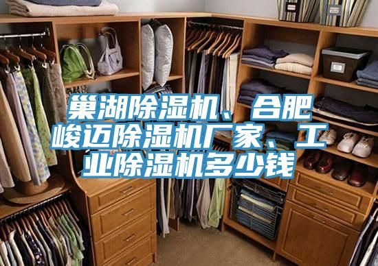 巢湖小黄片软件免费下载、合肥峻邁小黄片软件免费下载廠家、工業小黄片软件免费下载多少錢