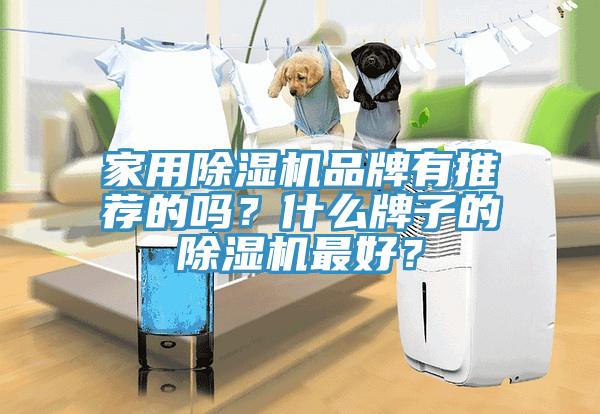 家用小黄片软件免费下载品牌有推薦的嗎？什麽牌子的小黄片软件免费下载最好？