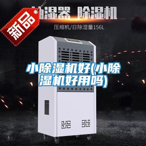 小小黄片软件免费下载好(小小黄片软件免费下载好用嗎)