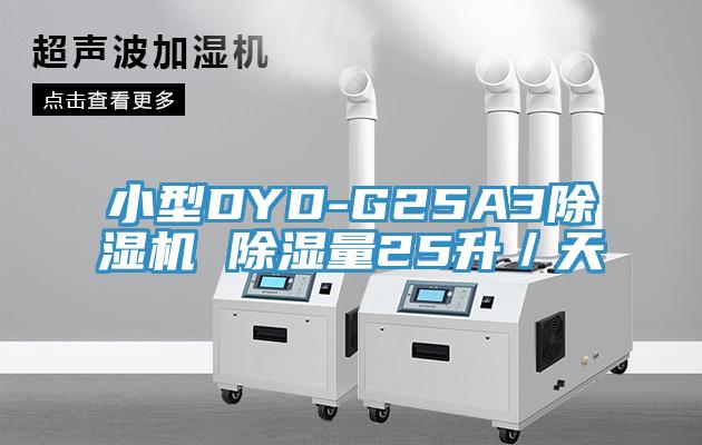 小型DYD-G25A3小黄片软件免费下载 除濕量25升／天