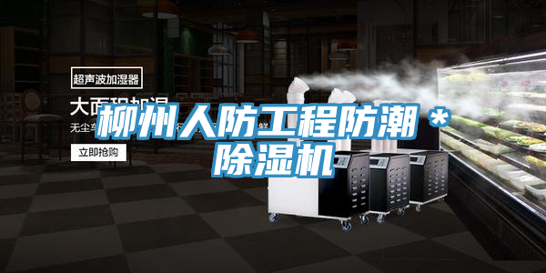 柳州人防工程防潮＊小黄片软件免费下载