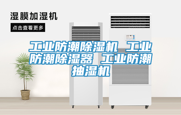 工業防潮小黄片软件免费下载 工業防潮除濕器 工業防潮抽濕機