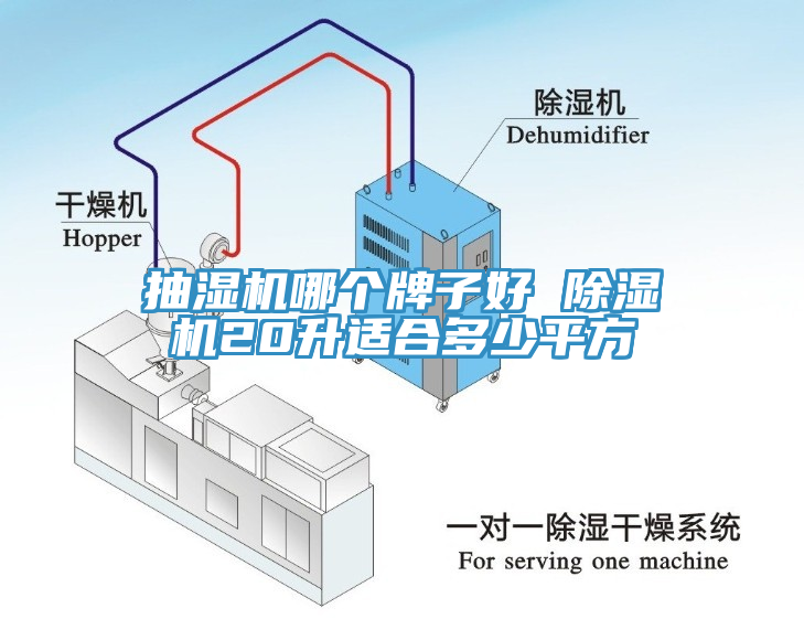抽濕機哪個牌子好 小黄片软件免费下载20升適合多少平方