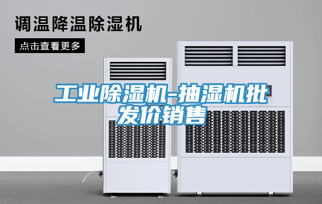 工業小黄片软件免费下载-抽濕機批發價銷售