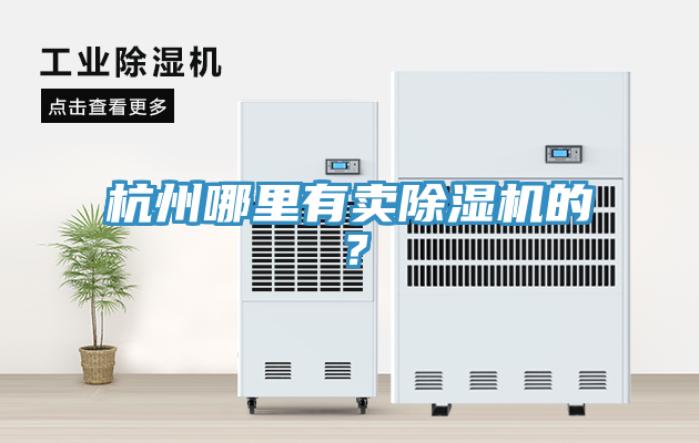 杭州哪裏有賣小黄片软件免费下载的？