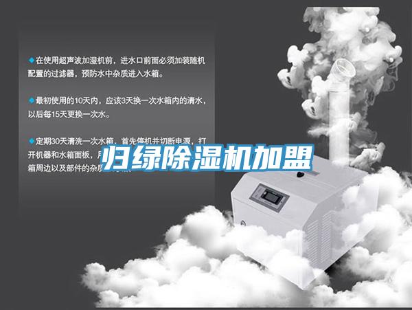 歸綠小黄片软件免费下载加盟