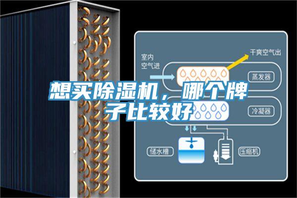想買小黄片软件免费下载，哪個牌子比較好
