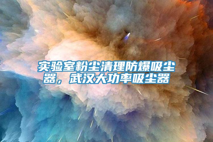 實驗室粉塵清理防爆吸塵器，武漢大功率吸塵器