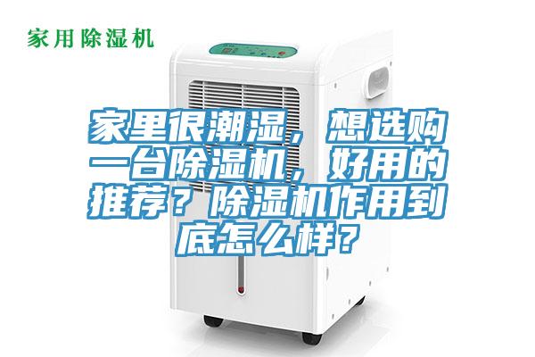 家裏很潮濕，想選購一台小黄片软件免费下载，好用的推薦？小黄片软件免费下载作用到底怎麽樣？