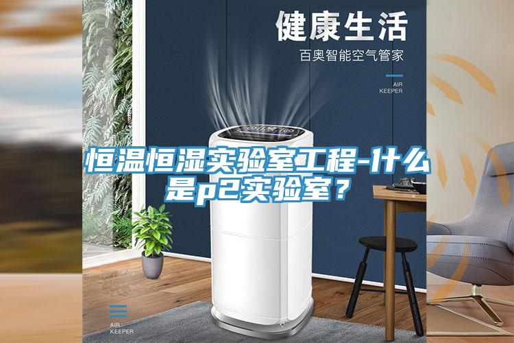 恒溫恒濕實驗室工程-什麽是p2實驗室？