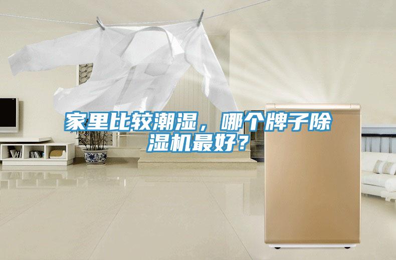 家裏比較潮濕，哪個牌子小黄片软件免费下载最好？