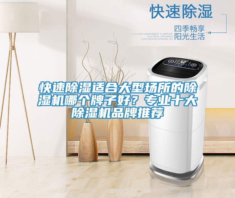 快速除濕適合大型場所的小黄片软件免费下载哪個牌子好？專業十大小黄片软件免费下载品牌推薦