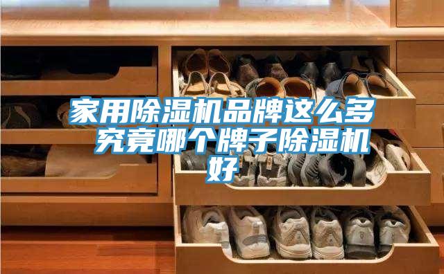家用小黄片软件免费下载品牌這麽多 究竟哪個牌子小黄片软件免费下载好