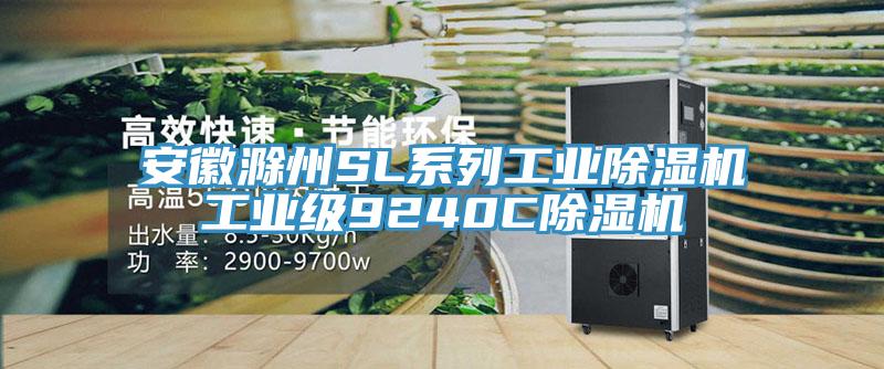 安徽滁州SL係列工業小黄片软件免费下载工業級9240C小黄片软件免费下载