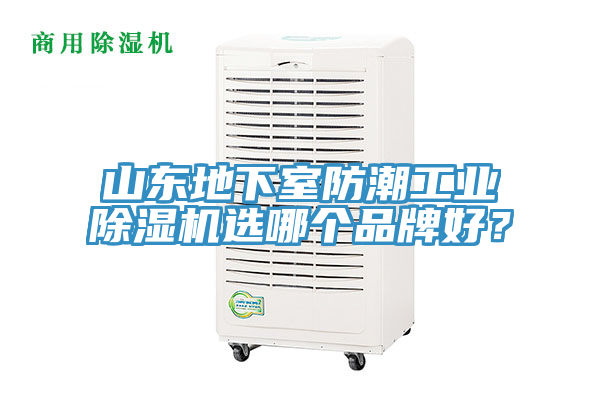 山東地下室防潮工業小黄片软件免费下载選哪個品牌好？