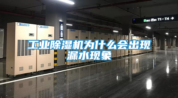 工業小黄片软件免费下载為什麽會出現漏水現象