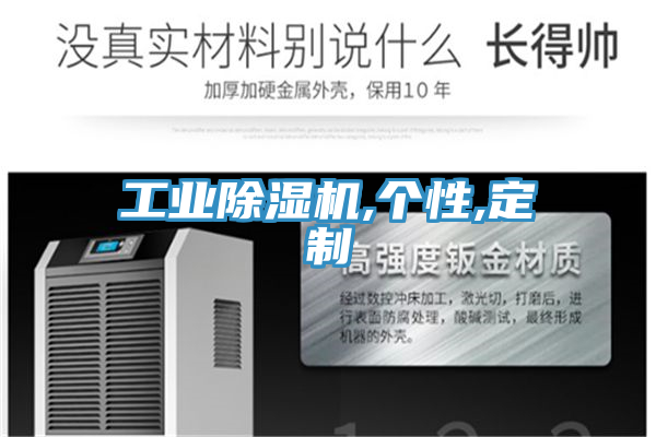 工業小黄片软件免费下载,個性,定製