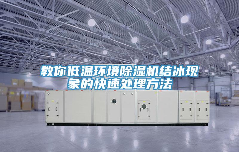 教你低溫環境小黄片软件免费下载結冰現象的快速處理方法