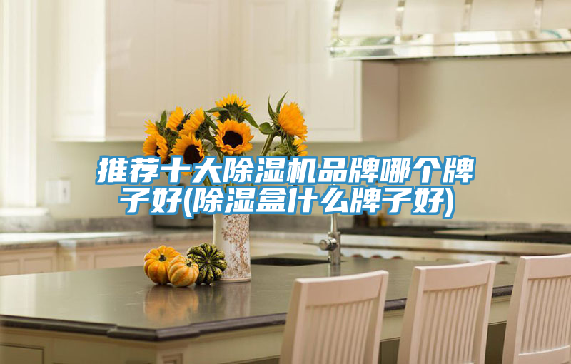 推薦十大小黄片软件免费下载品牌哪個牌子好(除濕盒什麽牌子好)