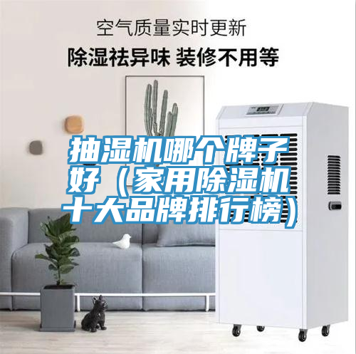 抽濕機哪個牌子好（家用小黄片软件免费下载十大品牌排行榜）