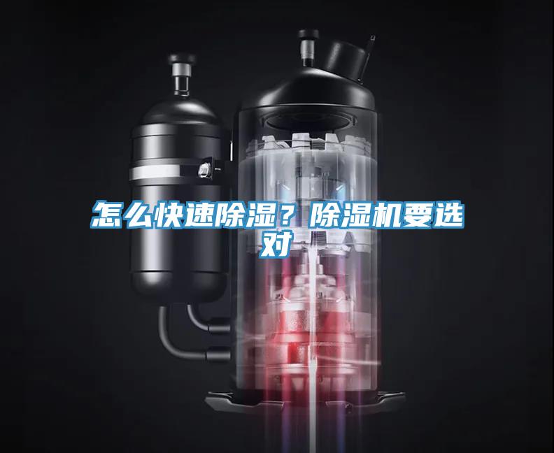 怎麽快速除濕？小黄片软件免费下载要選對