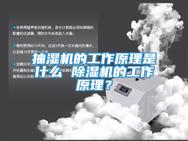 抽濕機的工作原理是什麽 小黄片软件免费下载的工作原理？