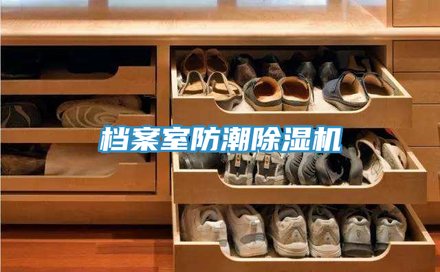 檔案室防潮小黄片软件免费下载