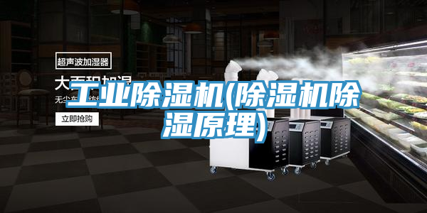 工業小黄片软件免费下载(小黄片软件免费下载除濕原理)