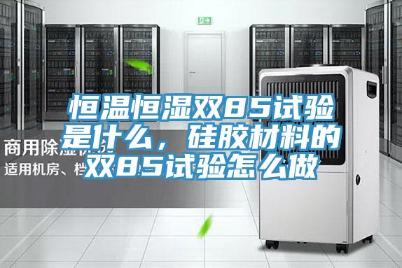 恒溫恒濕雙85試驗是什麽，矽膠材料的雙85試驗怎麽做