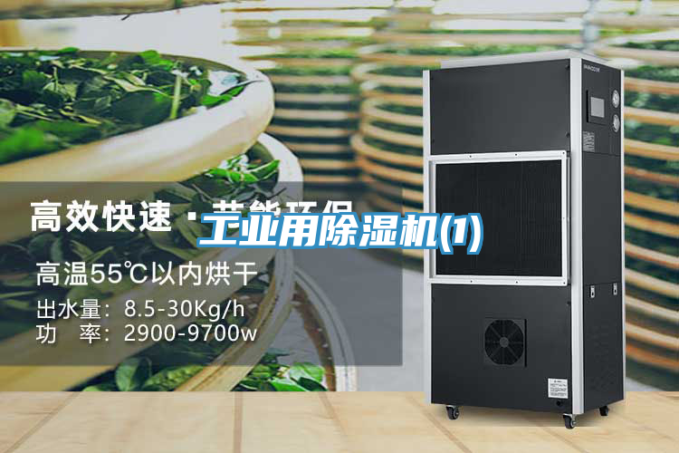 工業用小黄片软件免费下载(1)