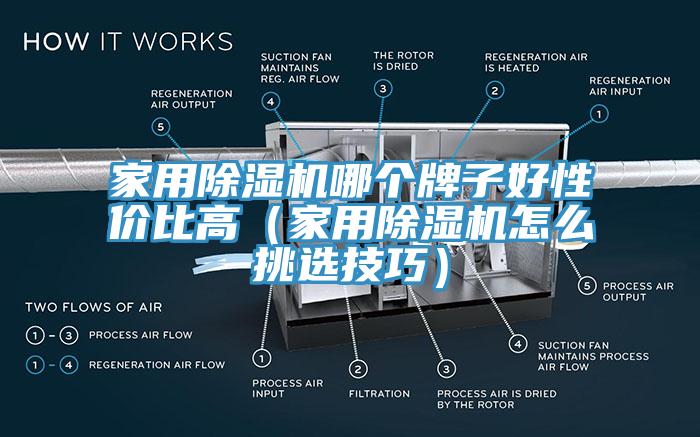 家用小黄片软件免费下载哪個牌子好性價比高（家用小黄片软件免费下载怎麽挑選技巧）