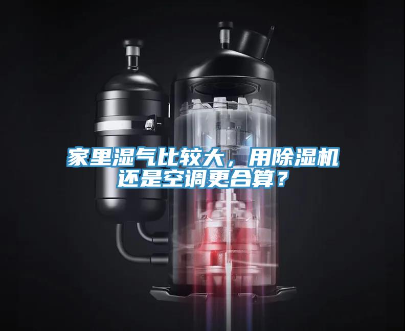 家裏濕氣比較大，用小黄片软件免费下载還是空調更合算？