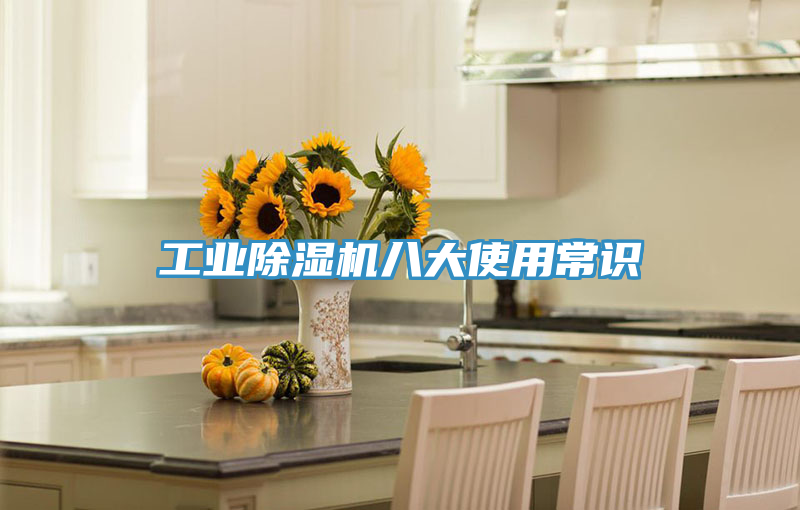 工業小黄片软件免费下载八大使用常識