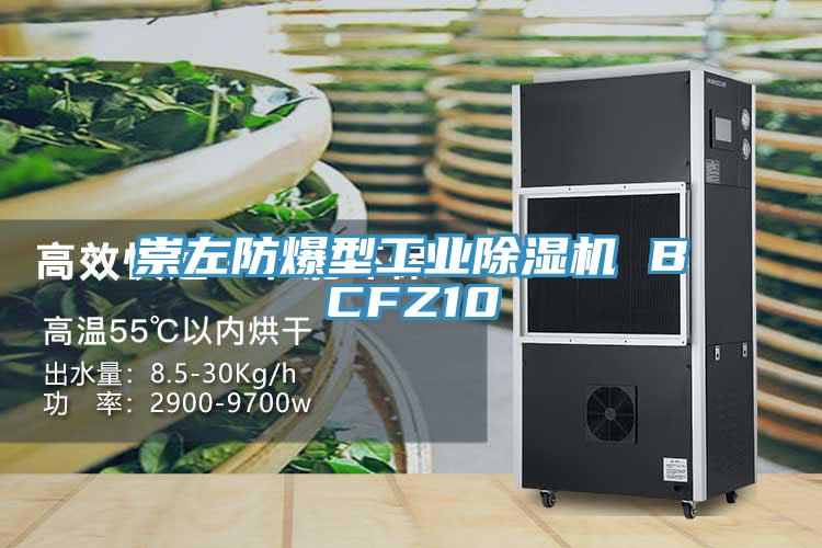 崇左防爆型工業小黄片软件免费下载 BCFZ10