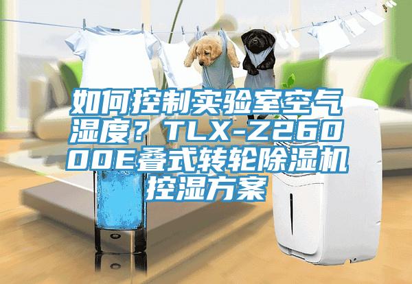 如何控製實驗室空氣濕度？TLX-Z26000E疊式轉輪小黄片软件免费下载控濕方案