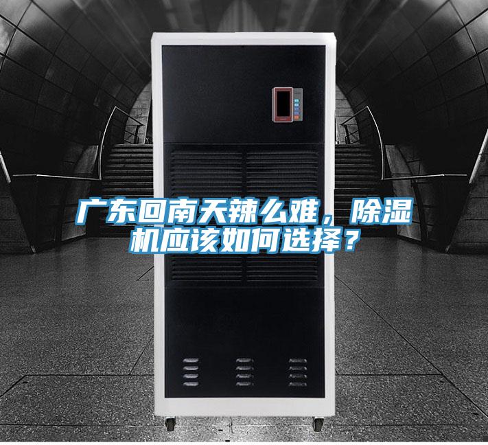 廣東回南天辣麽難，小黄片软件免费下载應該如何選擇？