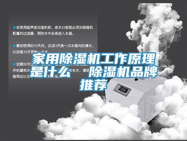 家用小黄片软件免费下载工作原理是什麽  小黄片软件免费下载品牌推薦