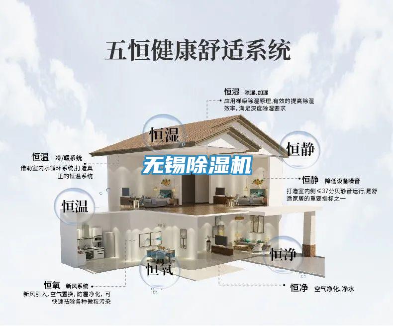 無錫小黄片软件免费下载