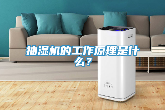 抽濕機的工作原理是什麽？