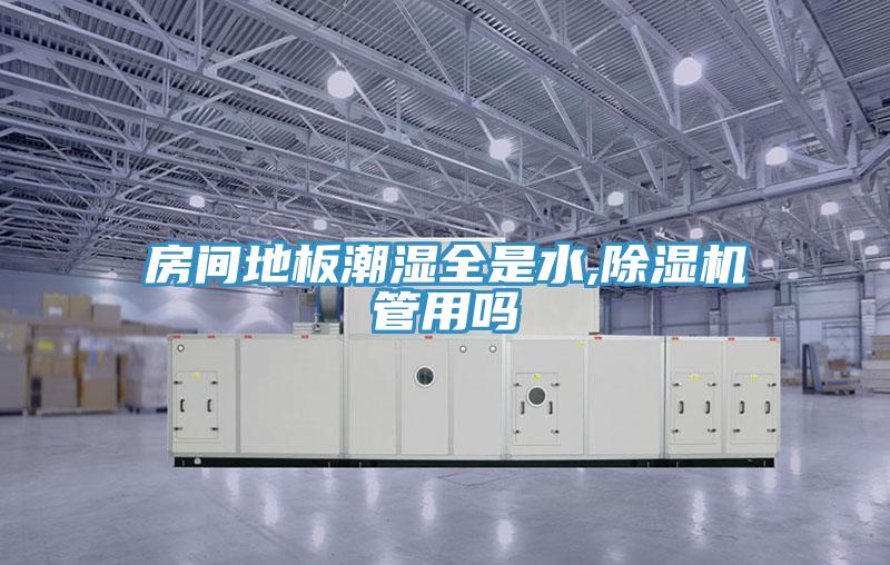 房間地板潮濕全是水,小黄片软件免费下载管用嗎