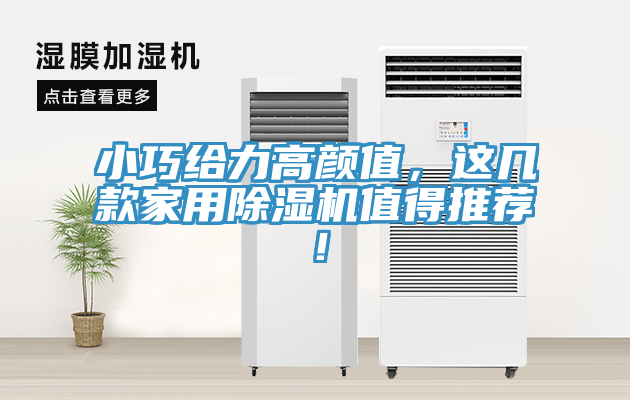 小巧給力高顏值，這幾款家用小黄片软件免费下载值得推薦！