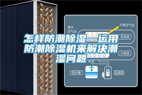怎樣防潮除濕—運用防潮小黄片软件免费下载來解決潮濕問題