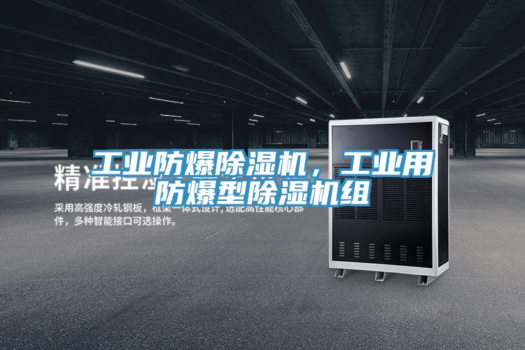 工業防爆小黄片软件免费下载，工業用防爆型小黄片软件免费下载組