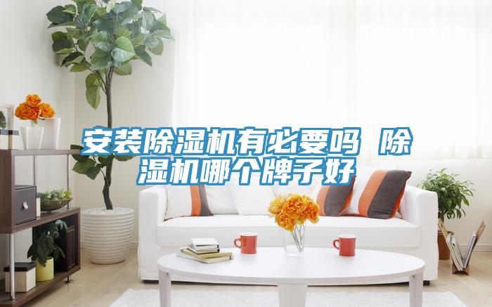 安裝小黄片软件免费下载有必要嗎 小黄片软件免费下载哪個牌子好