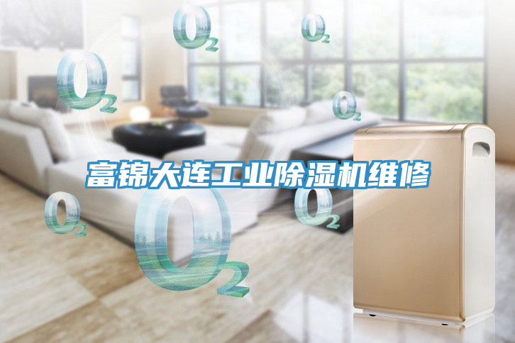富錦大連工業小黄片软件免费下载維修