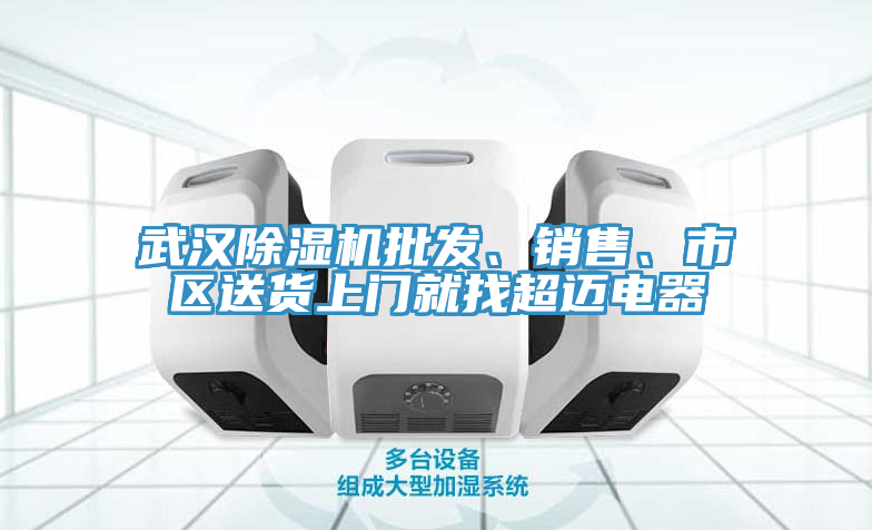 武漢小黄片软件免费下载批發、銷售、市區送貨上門就找超邁電器