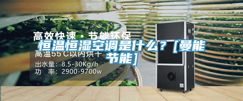 恒溫恒濕空調是什麽？[曼能節能]