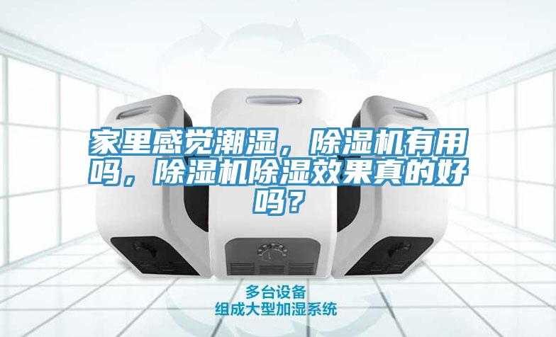 家裏感覺潮濕，小黄片软件免费下载有用嗎，小黄片软件免费下载除濕效果真的好嗎？