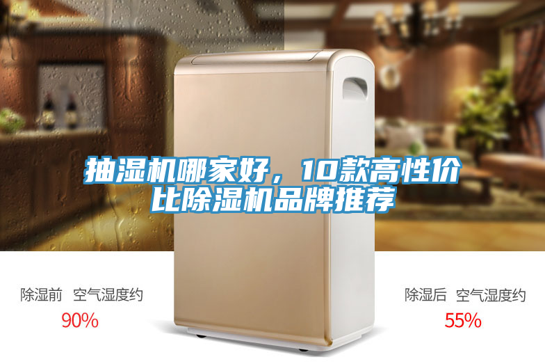 抽濕機哪家好，10款高性價比小黄片软件免费下载品牌推薦