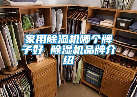 家用小黄片软件免费下载哪個牌子好 小黄片软件免费下载品牌介紹